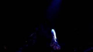 Satellite Party/paris 02/07/07/Wish Upon a Dog Star