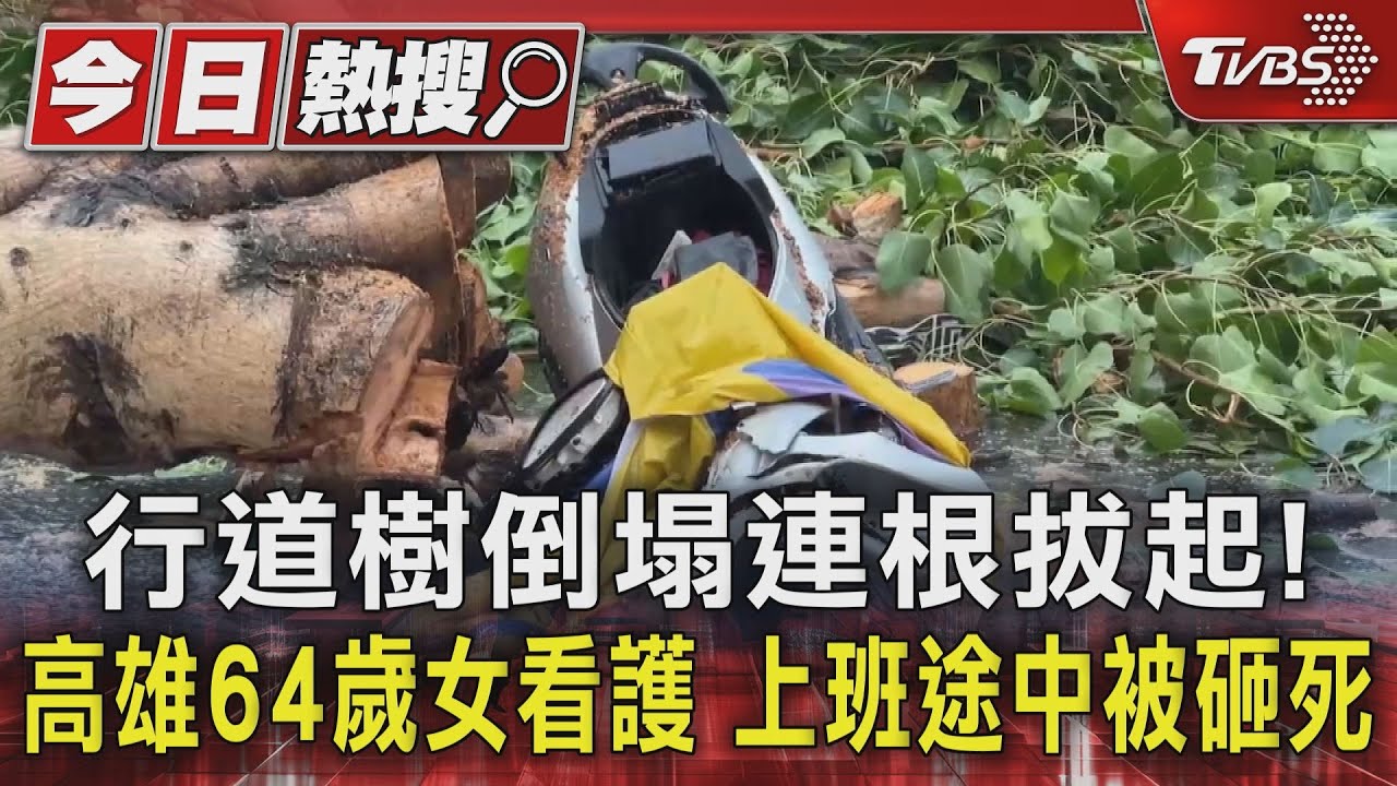 行道樹倒塌連根拔起!高雄64歲女看護上班途中被砸死