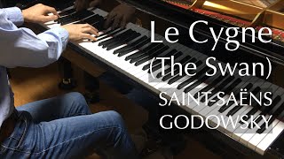 Download lagu 白鳥(サン=サーンス/ゴドフスキー編曲)Saint-Saëns/Godowsky - The Swan - pianomaedafu mp3 Download lagu 白鳥(サン=サーンス/ゴドフスキー編曲)Saint-Saëns/Godowsky - The Swan - pianomaedafu mp3