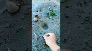 Download lagu mancing belut liar dari dalam lubang dipinggir parit #shorts mp3