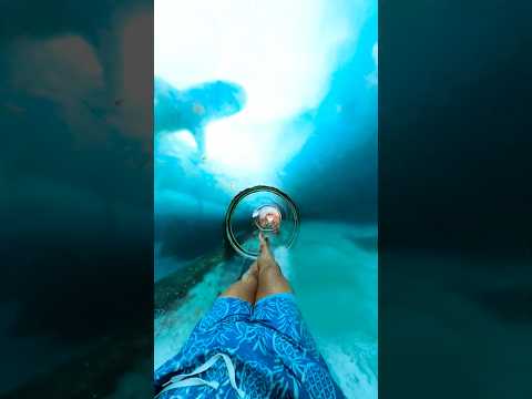 Shark Tunnel Waterslide in the Bahamas 🦈 #shorts