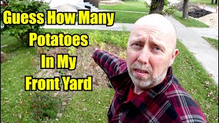 Potatoes in My Front - Guess How Much I got! - Part 1