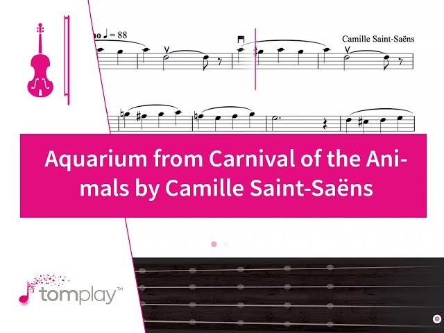 Saint-Saëns – A percussão em O Carnaval dos Animais - Clássicos dos  Clássicos