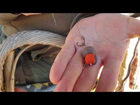 SEDO - Intelligent Fishing Tacke, CurvX Carp Hook Size 4 WWW.SEDOFISHING.COM