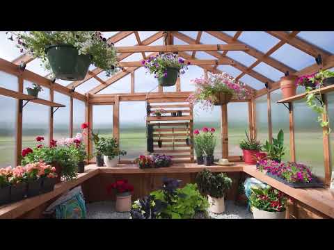 13x11 Bellerose XL Greenhouse