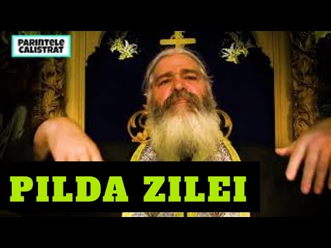 NE RUGAM ȘI PĂCĂTUIM, UNDE GREȘIM? PILDA ZILEI - Parintele Calistrat