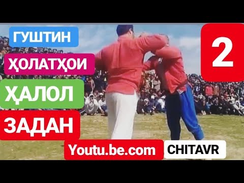 ГУШТИН - 2019||ҲОЛАТХОИ ҲАЛОЛ ЗАДАН - 2 (CHITAVR?)