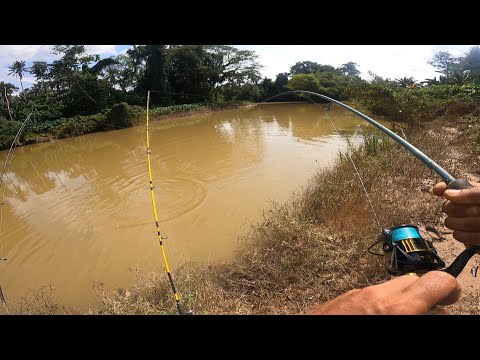 Pembuka tirai 2026 dengan strike padu #wms-391