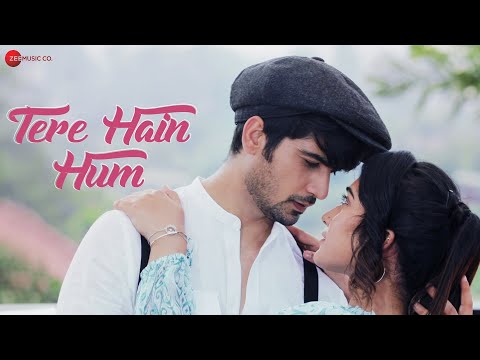 Tere Hain Hum — watch video
