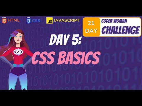 🎨 CSS Basics