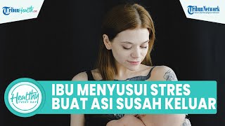 Hati-Hati! Ibu Menyusui Alami Stres Bisa Bikin ASI Susah Keluar, Begini Penjelasan Dokter Ahli