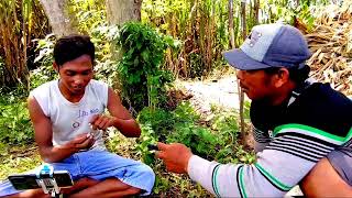 Download lagu TERBONGKAR SUDAH TRIK ARIF CHANEL BIKIN UMPAN CARA PIKAT BURUNG YANG SULIT DI PIKAT mp3 Download lagu TERBONGKAR SUDAH TRIK ARIF CHANEL BIKIN UMPAN CARA PIKAT BURUNG YANG SULIT DI PIKAT mp3