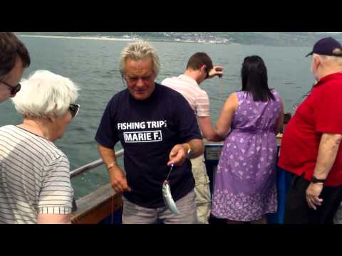 Harry May - Mackerel fishing trip.