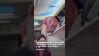 Aksi Emak-emak Membawa Ember ke Kabin Pesawat, Tampak Bikin Repot Pramugari hingga Videonya Viral