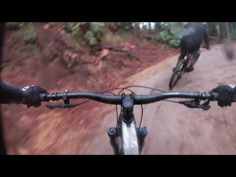 Te Poaka - Flow Trail Rotorua