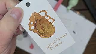 Salted Caramel Shimmer Ink Review Diamine Fountain Pen Ink