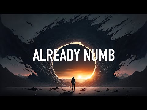 Synymata, Egzod & Josh Rubin - Already Numb (Lyrics)
