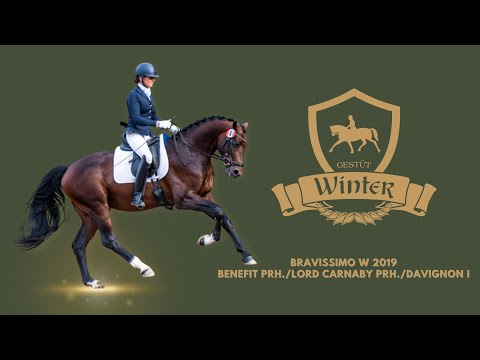 Bravissimo W 2019 Benefit PrH./Lord Carnaby PrH./Davignon I