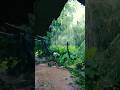 Rain Whatsapp Status Short Video Rain Konkan