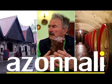 Tudtad, hogy van egy horvát Baranya is? | AZONNALI