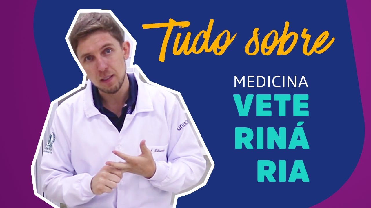 Tudo que você precisa saber sobre Medicina Veterinária | UniSociesc