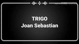 TRIGO - Joan Sebastian