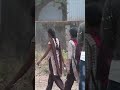 Mother Tongue Samuelvishalbabu Clapper Prank Ytshorts Telugu Prank Yellandu Shorts