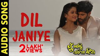 Dil Janiye Movie Elina Ranbir Sidhant Lisa