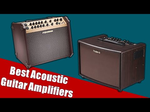 Top 5 Best Acoustic Guitar Amplifiers Reviews 2021
