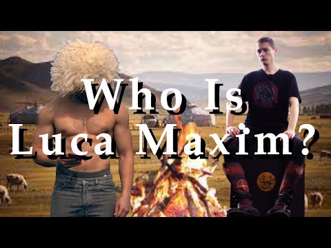 The Aesthetics of Luca Maxim
