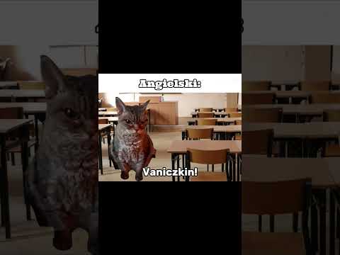 typowy dzień w szkole pt.2