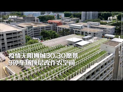 ▌滚动头条 ▌新加坡政府化疫情为转机   改造9组屋停车场作农场