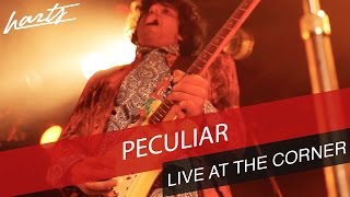 Harts – Live at The Corner [6 of 10] Peculiar