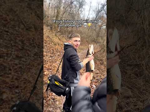 They didn't think my rod would catch this... #rivermonsters #fishingrod #pikefishing
