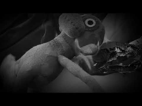 Rampeguttene 2020 - Hjemmesnekk