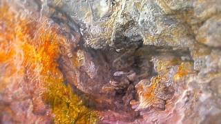 Matthew Dear - In The Middle (I Met You There) [feat. Jonny Pierce of The Drums]