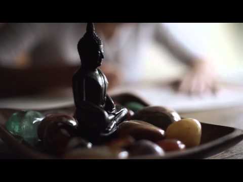 Zdeněk Bína vydání nového alba "Bird"