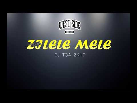 dj toa 2k17 - Zilele Mele ft Daddy Yankee & Kat DeLuna [Reggaeton]