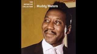 Muddy Waters  "I Got a Rich Man's Woman"