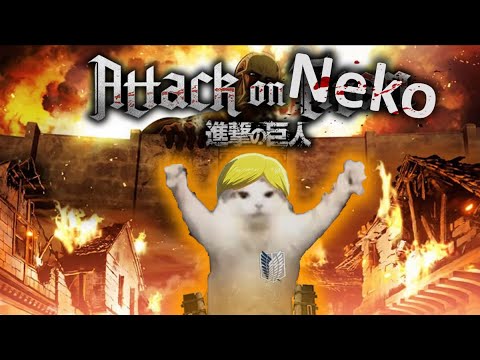 Attack on Neko | Season 2