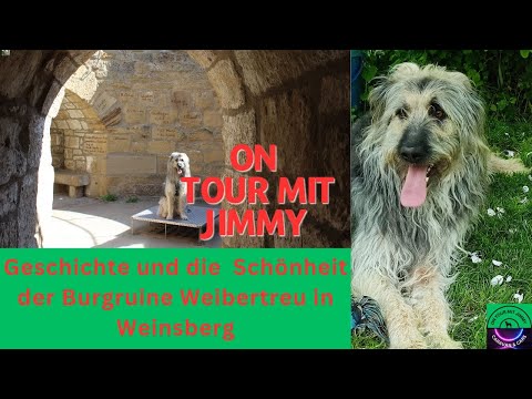 Discover the history and impressive beauty of the Weibertreu Castle ruins in Weinsberg