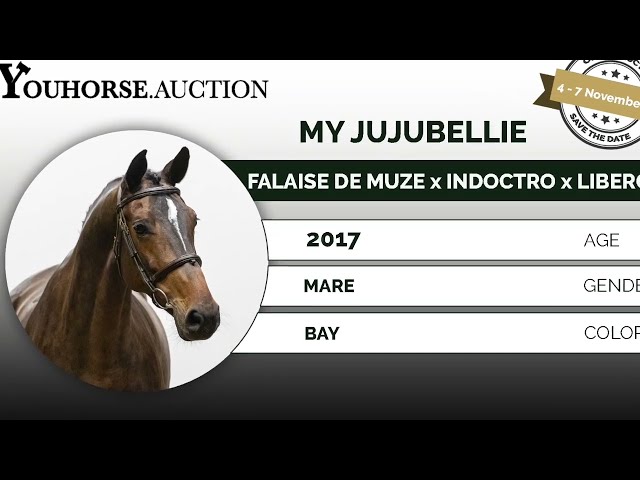 My Jujubellie @ show
