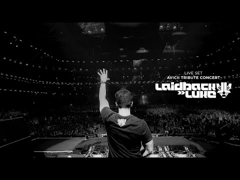 Laidback Luke | Live Set @ Avicii Tribute Concert