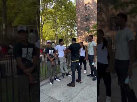 In One Of The Most Notorious Projects (Mott Haven) In The Bronx.