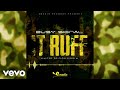 Busy Signal It Ruff Official Audio