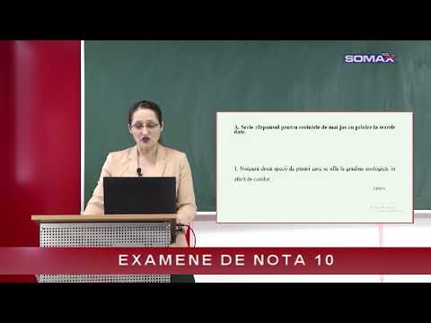 EXAMENE DE NOTA 10 - Limba și literatura română - EVALUARE NAȚIONALĂ - Profesor LAURA BUHACIUC