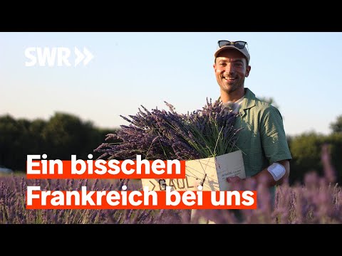 Von Lavendel bis Macarons: Wo man Frankreich in Deutschland findet | SWR Treffpunkt
