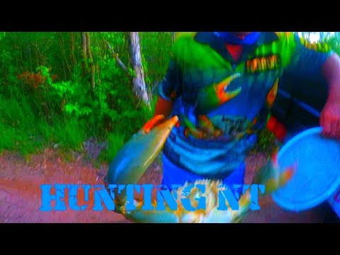 Mud Crabbing and Barramundi fishing with a Shovel Nose Shark