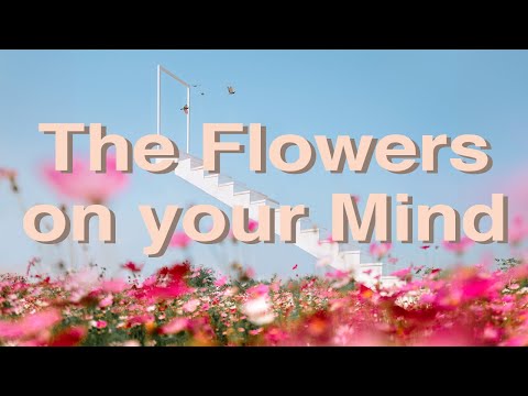 Al Crespo - The Flowers On Your Mind (Official Music Video)