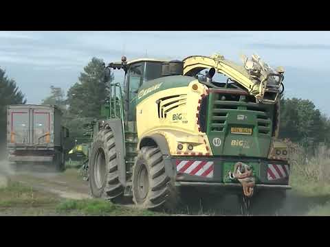 Sklizeň Kukuřice 2025 s Krone Big X 1180,3x Man a 2x Tatra Phoenix